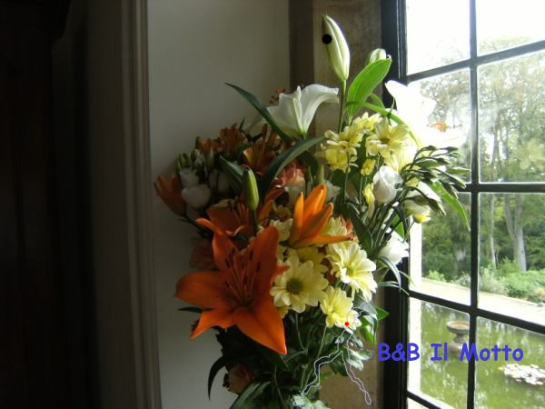 Un mazzo di fiori - Settembre 2011 ( bytes)