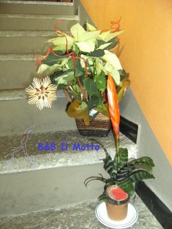 Un mazzo di fiori- Inverno 2011 (60495 bytes)