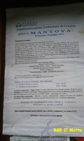 Cremia in gita a Mantova (58189 bytes)