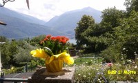 Giugno 2013 - Auguri (84752 bytes)