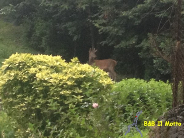 Esate 2013 - ogni tanto ci fanno visita ( bytes)