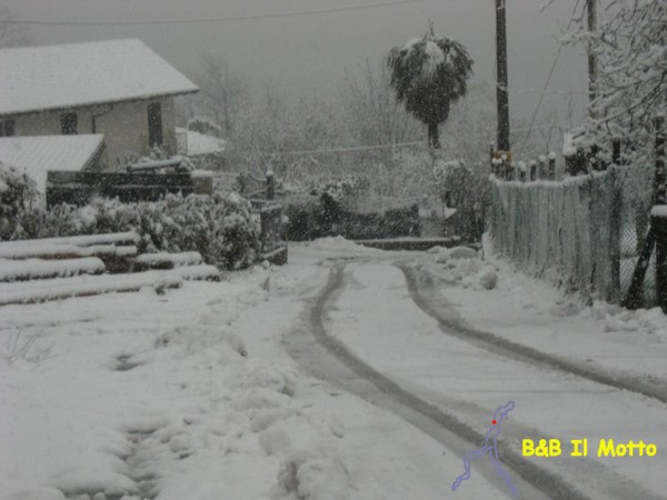 Inverno 2013 - Nevicata ( bytes)
