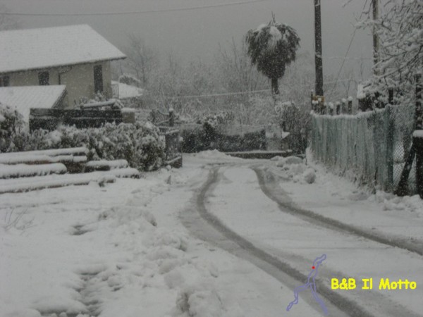 Inverno 2013 - Nevicata (57055 bytes)